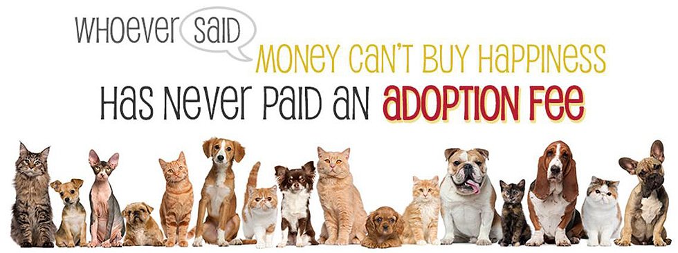 Adoption Pets Banner-980x366