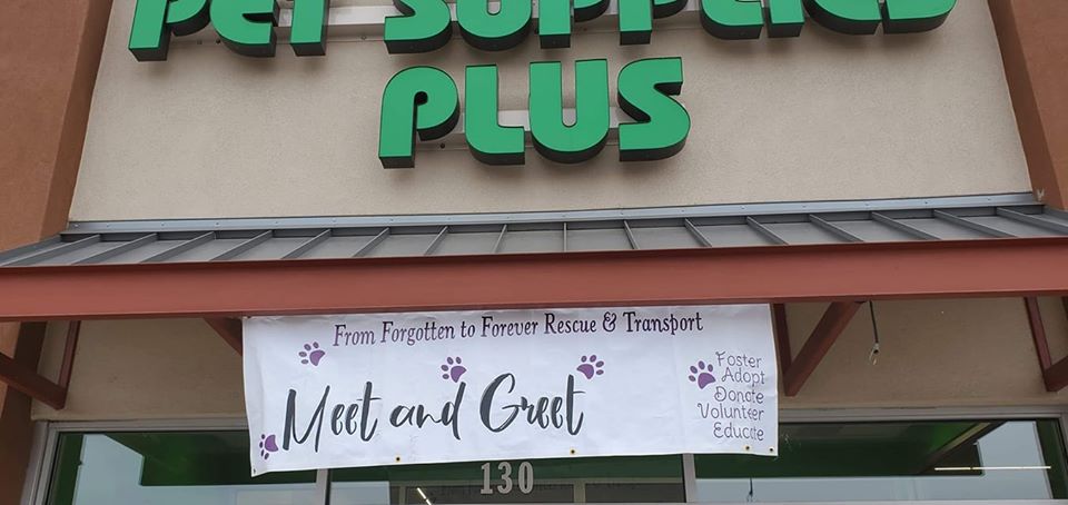 Adoption Event Banner